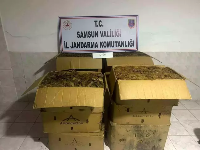 Samsun'da Kaçak Tütün Hırsızlığı: 135 Kilo Ele Geçirildi