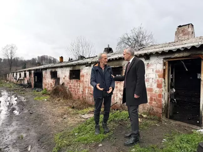 Düzce'deki Tavuk Çiftliğinde Yangın: 8 Bin 700 Tavuk Telef Oldu