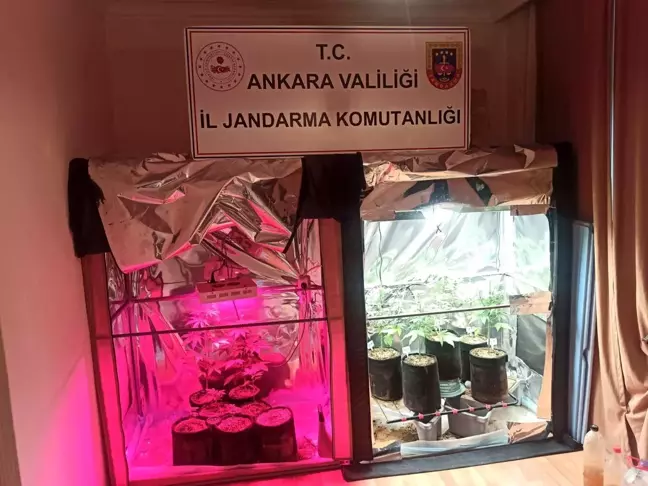 Ankara'da Uyuşturucu Operasyonu: 2 Gözaltı ve 1580 Gram Esrar Ele Geçirildi