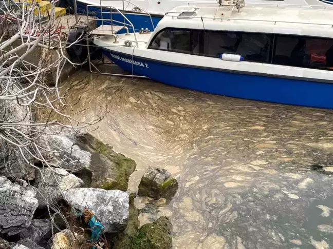 Marmara Denizi'nde Müsilaj Endişesi Yeniden Başladı