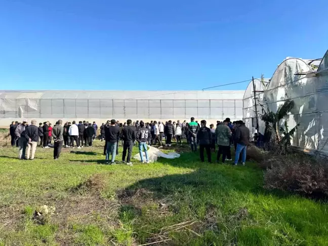 Gazipaşa'da Kayıp Genç Muz Serasında Ölü Bulundu