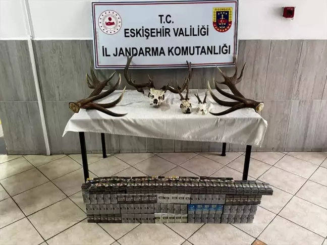 Eskişehir'de Jandarma Operasyonu: 16 Bin Paket Kaçak Sigara Ele Geçirildi