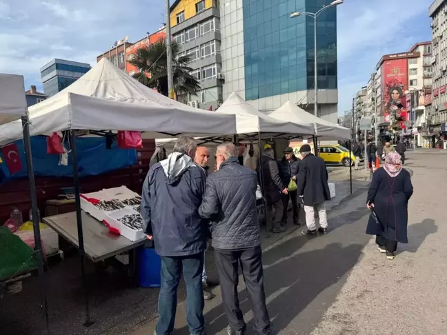 Zonguldak'ta İstavrit Fiyatı 150 Lira