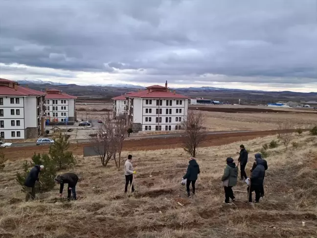 Sivas'ta 10 Bin Badem Tohumu Toprakla Buluştu