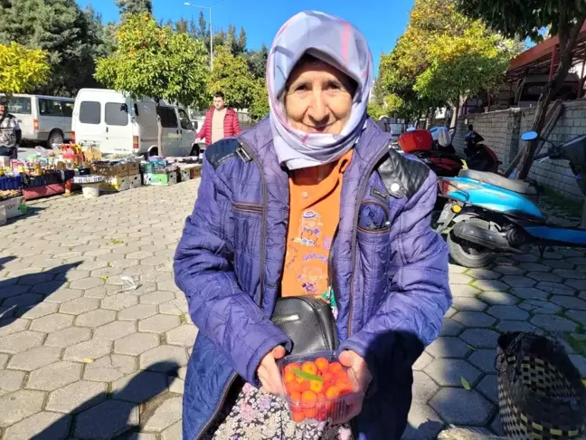 67 Yaşındaki Semiha Şahin, Dağ Çilekleriyle Geçimini Sağlıyor