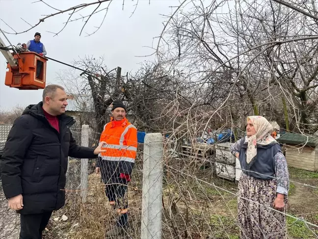 Kırklareli Belediye Başkanı Derya Bulut'tan Ağaç Budama Çalışmalarına Destek