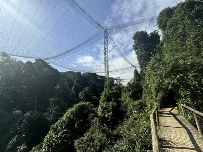 Dünyanın En Büyük Serbest Uçuş Kuş Barınağı: Birds of Eden