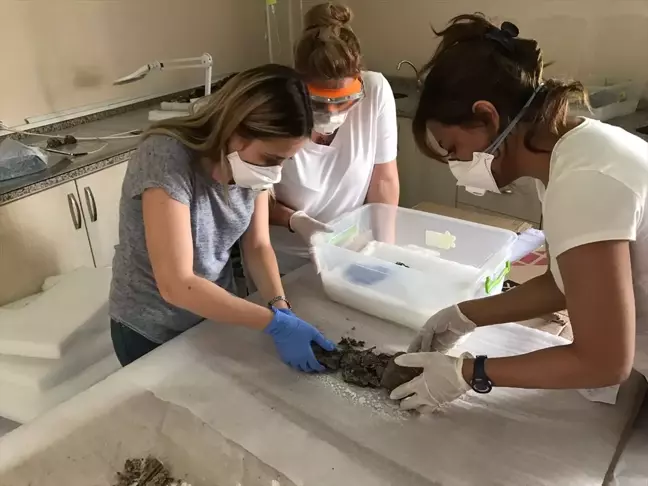 Aksaray Müzesi'nde Mumyaların Bakımı İklimlendirme ile Sağlanıyor