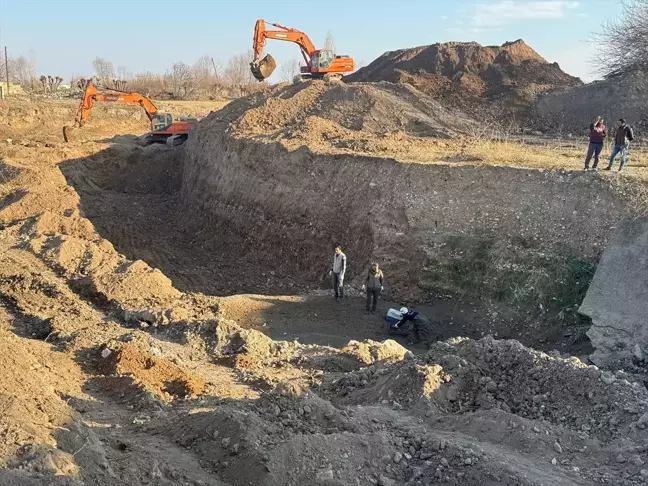 Şanlıurfa'da 240 Kaplumbağa Mahsur Kaldı, Kurtarıldı