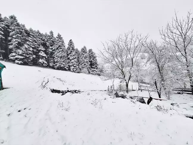 Samsun'un Yakakent İlçesinde Kar Yağışı