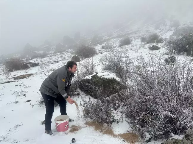 Giresun'da Yaban Hayvanları İçin Doğaya Yem Bırakıldı