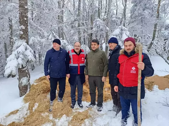 Uludağ'da Yaban Hayvanları İçin Yem Bırakıldı