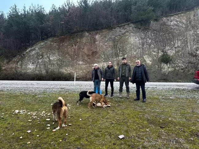 Vezirköprü Avcılar Derneği, Soğuk Havada Yaban Hayvanlarına Yardım Eli Uzattı