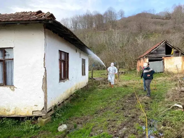 Düzce'de Kahverengi Kokarca Mücadelesi: 39 Köyde 7 Bin 850 Yapı İlaçlandı