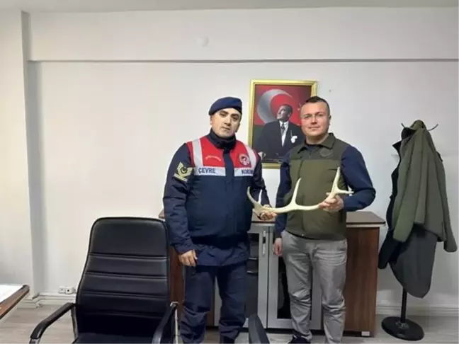 Eskişehir'de Sosyal Medyada Geyik Boynuzu Satan Şüpheli Yakalandı