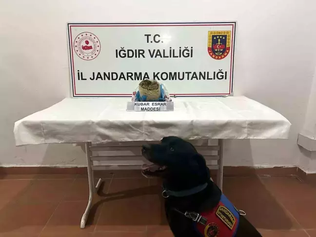 Iğdır'da Kaçakçılık Operasyonunda 1 Kilogram Esrar Ele Geçirildi