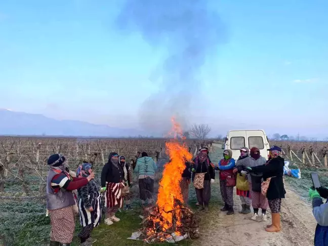 Kadın Tarım İşçileri Soğuk Hava Şartlarıyla Mücadele Ediyor