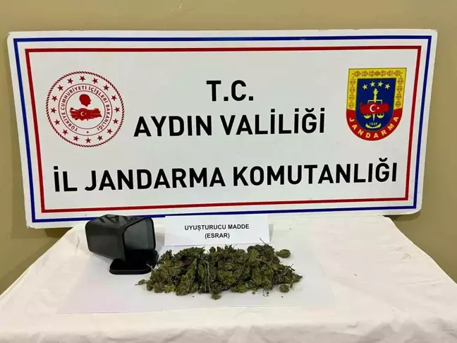 Aydın'da Ormanlık Alanda Uyuşturucu Ele Geçirildi, 3 Şüpheli Yakalandı