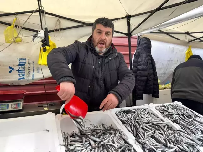 Zonguldak'ta Hamsi Fiyatları Düşüşe Geçti