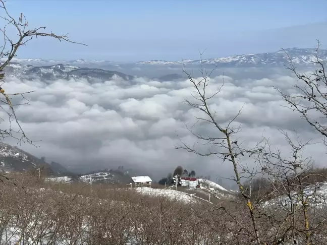 Düzce'de Kış Manzaraları: Kar ve Sis Büyüledi