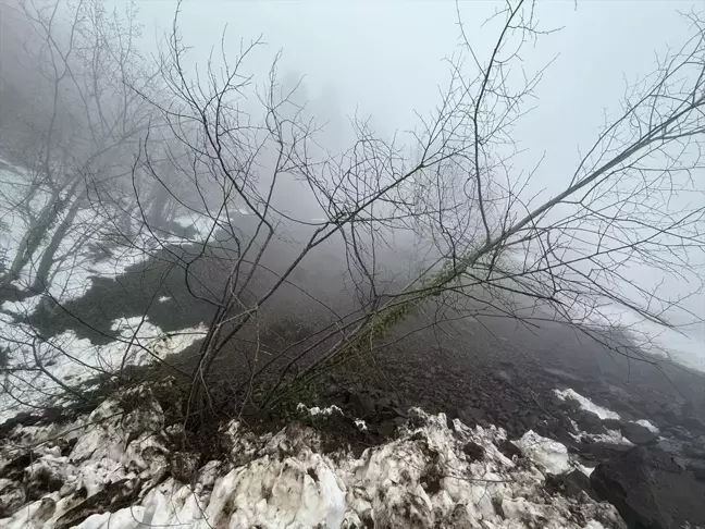 Kocaali'de Heyelan Sonrası Ulaşım Yeniden Sağlandı