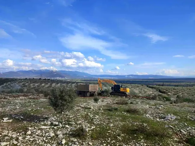 Didim'de Hazine Arazisinde İzinsiz Kazı Yapanlar Yakalandı