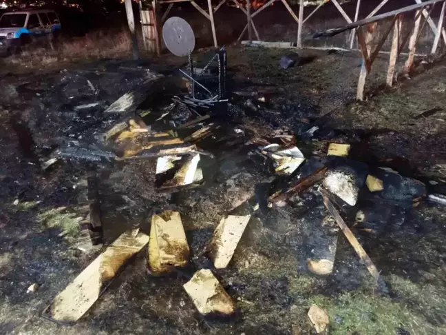 Isparta'da Yangın: 60 Güvercin Telef Oldu