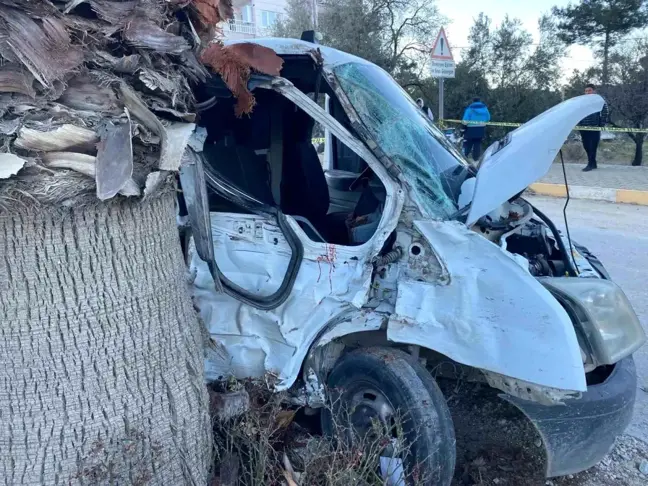 Denizli'de Kamyonet Palma Ağacına Çarptı: 1 Yaralı