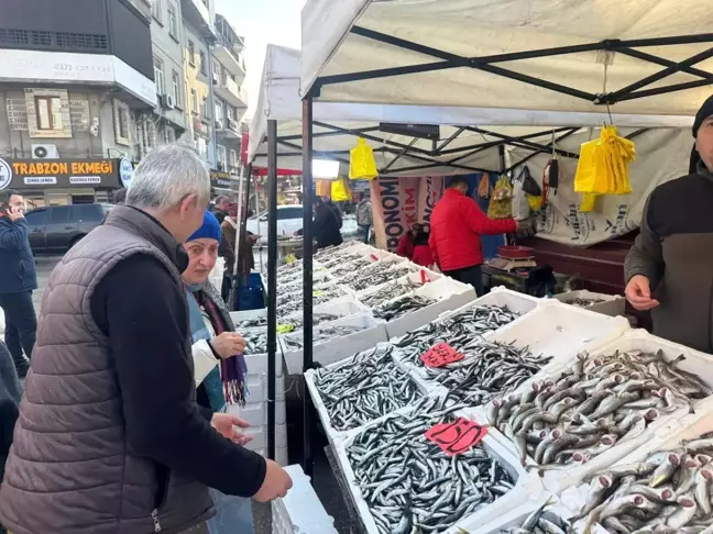 Zonguldak'ta Yerli Hamsi Fiyatları Düşünce Vatandaşların İlgisi Arttı