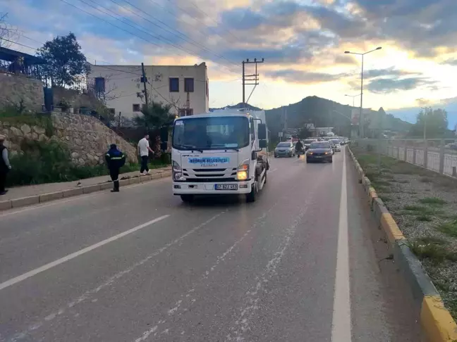 Bodrum'da Köpeğin Havlamasıyla Yola Fırlayan Adam Çöp Kamyonunun Altında Kaldı