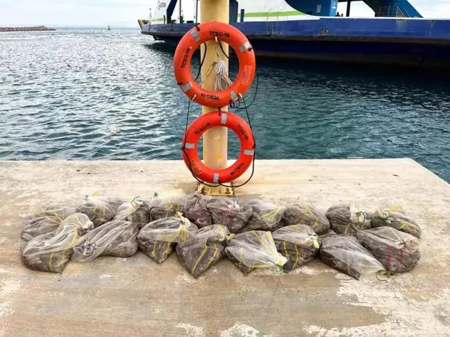 Sahil Güvenlik, Bozcaada Açıklarında 19 Çuval Deniz Patlıcanı Ele Geçirdi