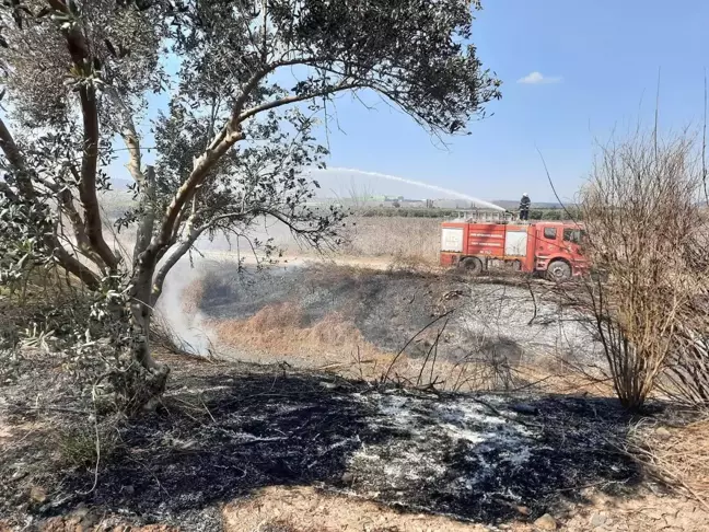 Erzin'de Sazlık Alanda Yangın Şansı ile Kontrol Altına Alındı