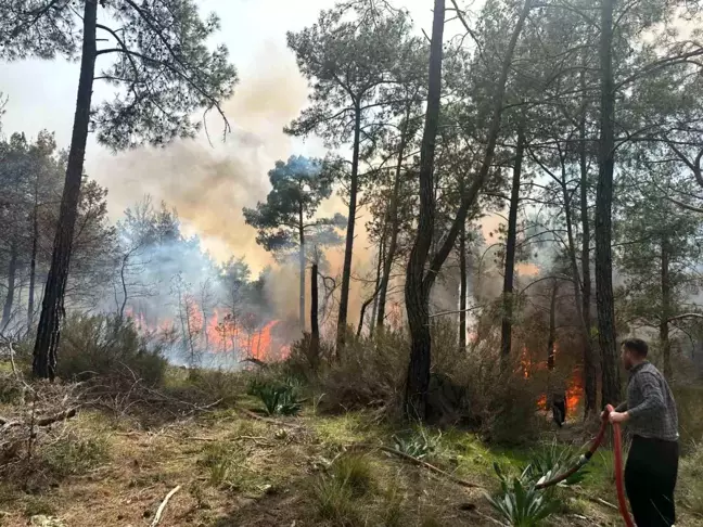 Antalya Kemer'de Orman Yangını Çıktı