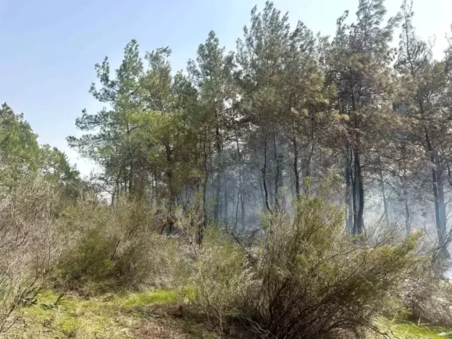 Antalya Kemer'de Orman Yangını Kontrol Altına Alındı