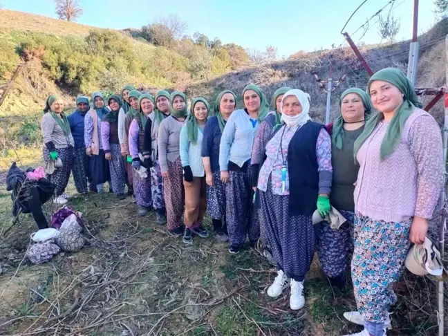 Tarım İşçisi Kadınlar, 8 Mart'ı Üzüm Bağında Kutladı