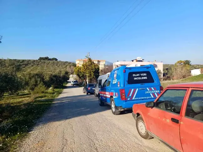 İzmir'de Hint Keneviri Operasyonu: 102 Kök Ele Geçirildi