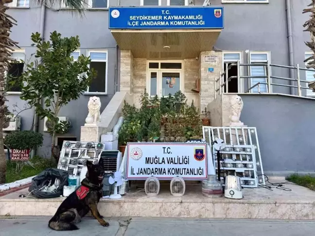 Muğla'da Uyuşturucu Operasyonu: 2.5 Kilogram Skunk Esrar Ele Geçirildi