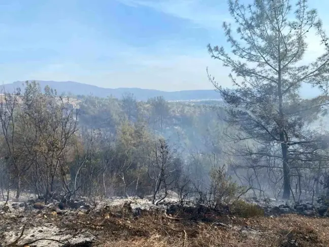 Osmaniye'de Orman Yangını Kontrol Altına Alındı