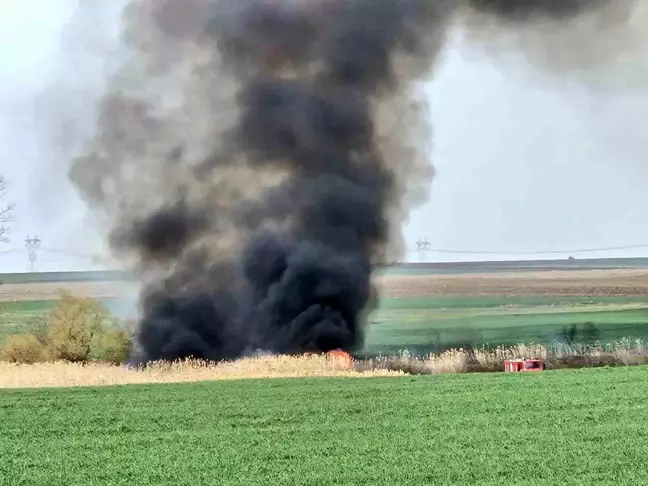 Tekirdağ'da Sazlık Alanında Yangın Paniğe Neden Oldu