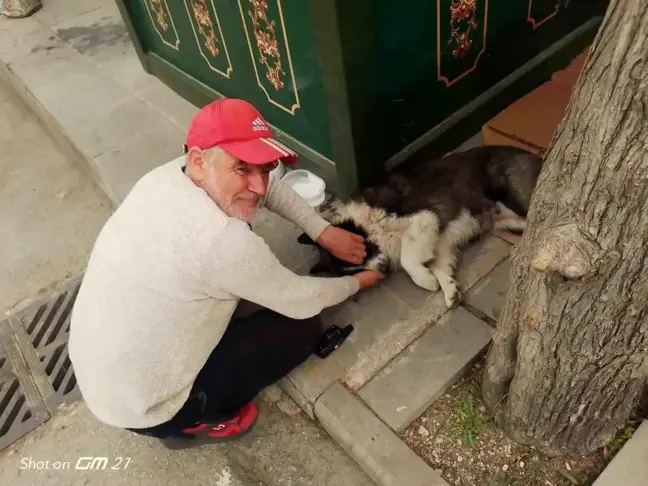 Eskişehir'de Taksi Şoförünün Duyarlı İlişkisi: Fındık
