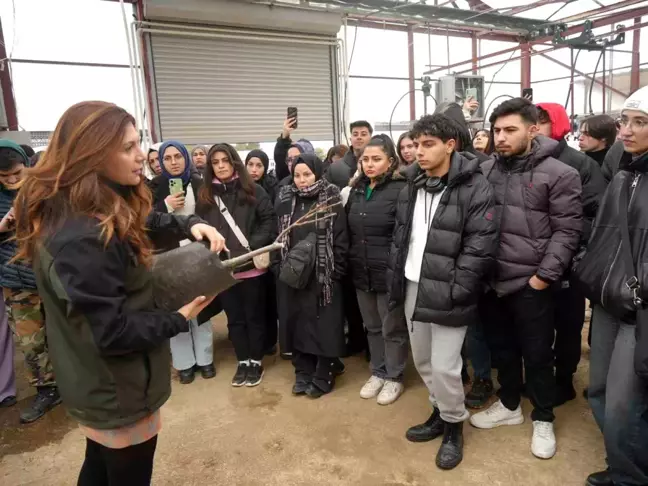 Kastamonu'da Üniversite Öğrencilerine Tıbbi ve Aromatik Bitkiler Eğitimi