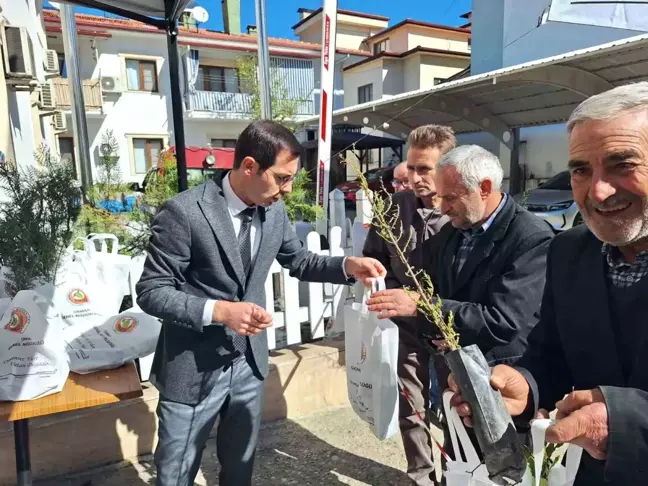 Bozdoğan'da Fıstık Çamı Fidanı Dağıtımı Gerçekleşti