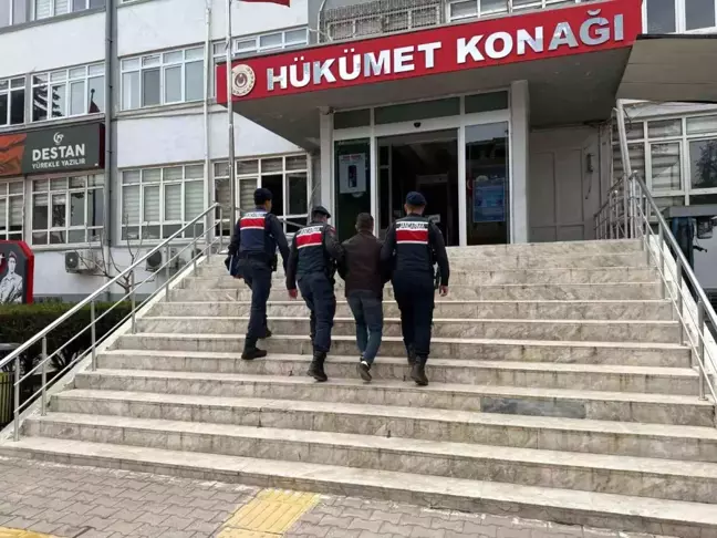 Mersin'de Çalınan 16 Küçükbaş Hayvan Bulundu, Şüpheli Tutuklandı