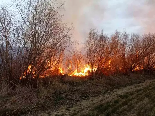 Malatya'da İki Ayrı Bahçe Yangını Kontrol Altına Alındı