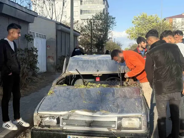 Iğdır'da Fırtına Nedeniyle Ağaç Devrildi, Sürücü Yaralandı