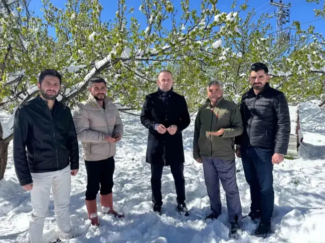 Malatya Kayısı Bahçelerinde Büyük Zarar: Afet Bölgesi İlan Edilsin