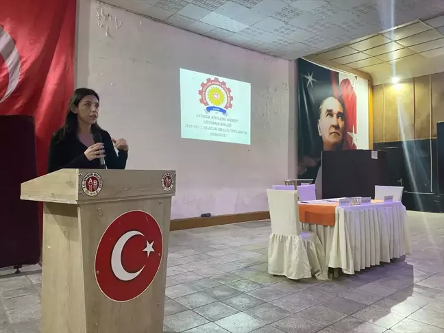 Ayvacık'ta Muhtar ve İl Genel Meclisi Üyeleri Seçildi