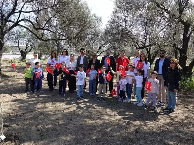 Ayvalık'ta Öğrenciler 23 Nisan İçin Zeytin Fidanı Dikti