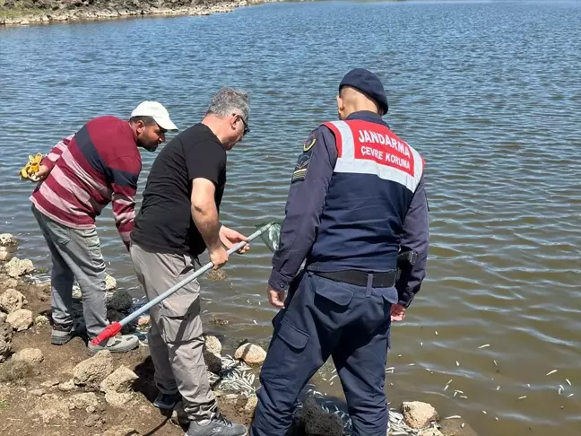 Diyarbakır'da Hayvan Sulama Göletinde Balık Ölümleri İnceleniyor