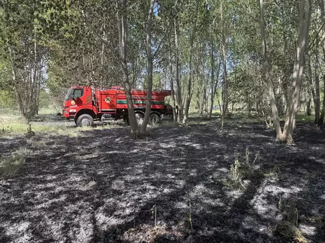 Edirne'de Çalılık Alanda Yangın Söndürüldü